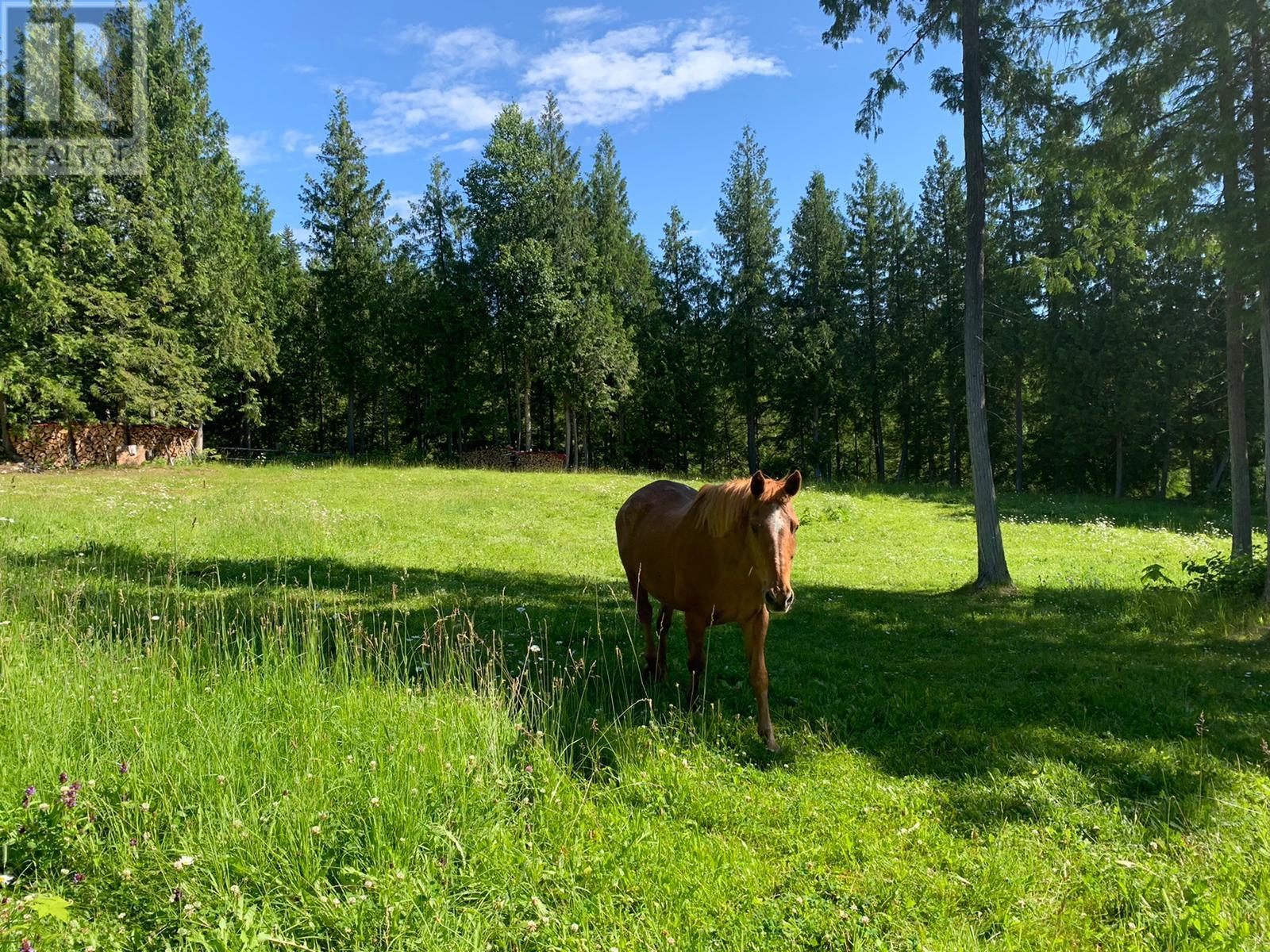 296 Trinity Valley Road, Lumby