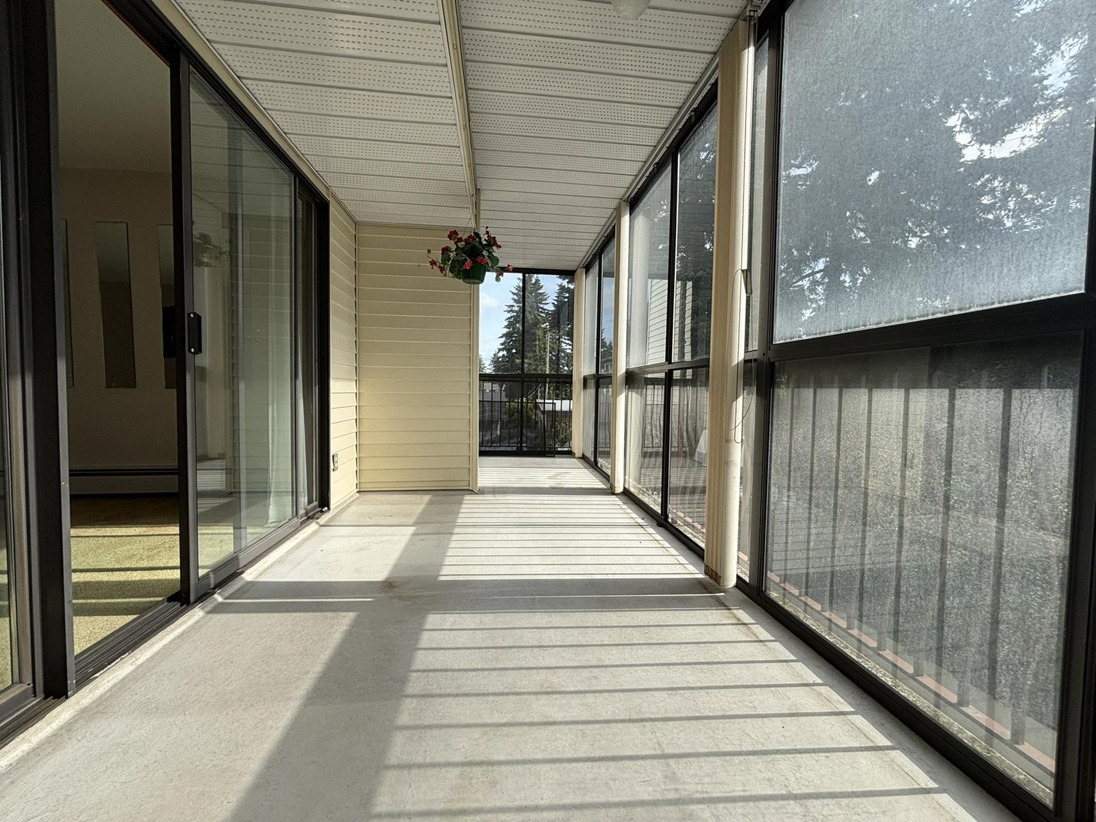 Photo 6 of 204 32055 Old Yale Road, Abbotsford BC