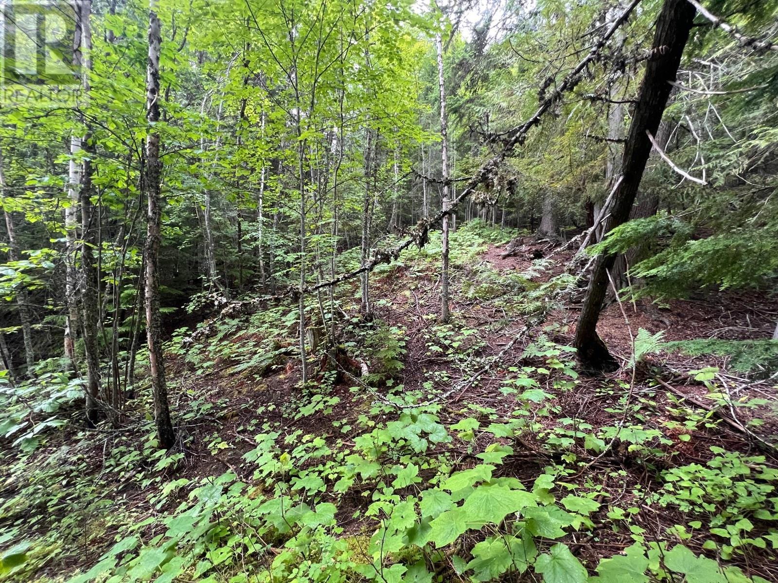 Photo 2 of 4421 Slocan River Road, Winlaw BC