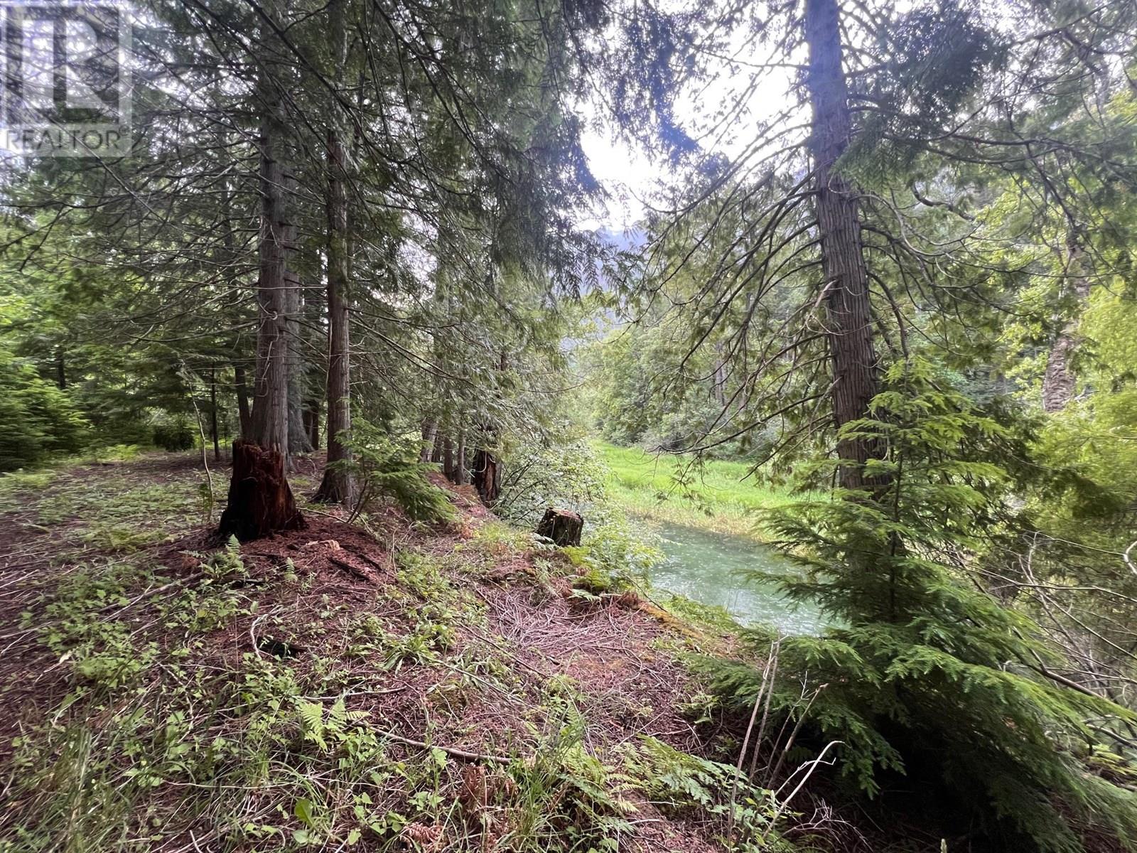 Photo 28 of 4421 Slocan River Road, Winlaw BC