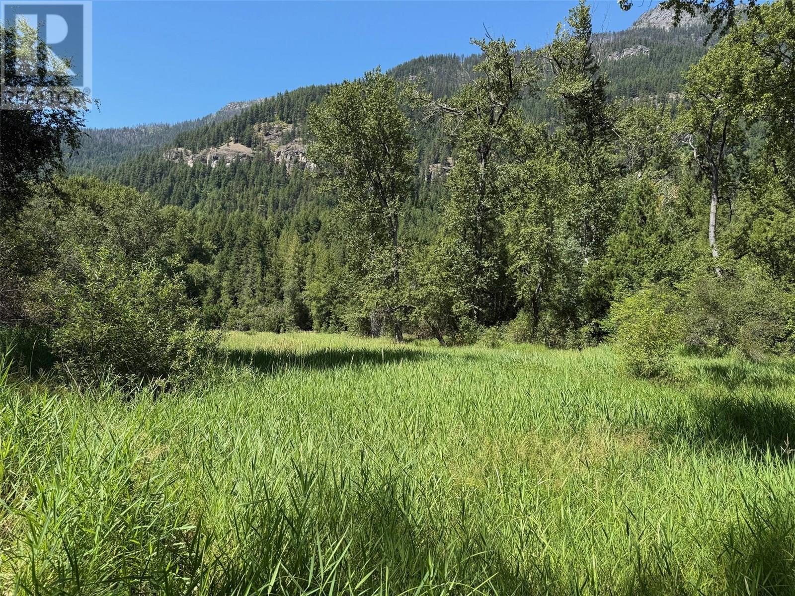 Photo 19 of 4421 Slocan River Road, Winlaw BC