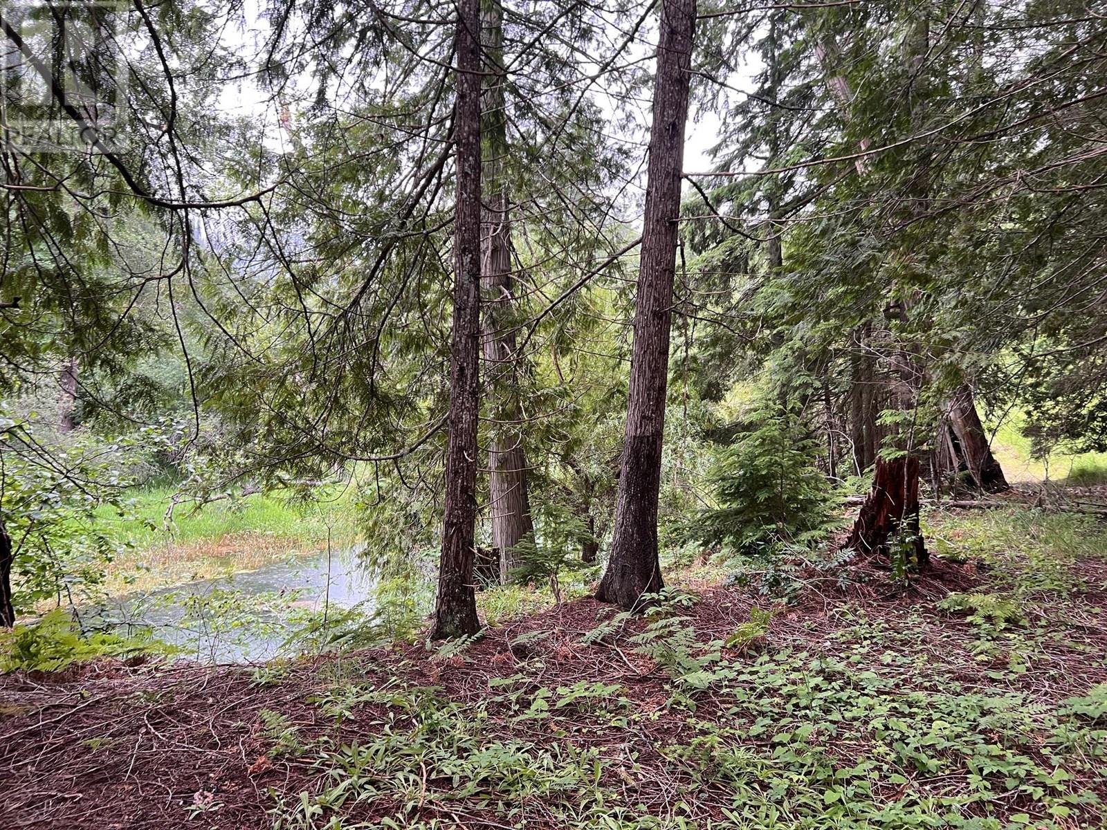 Photo 12 of 4421 Slocan River Road, Winlaw BC