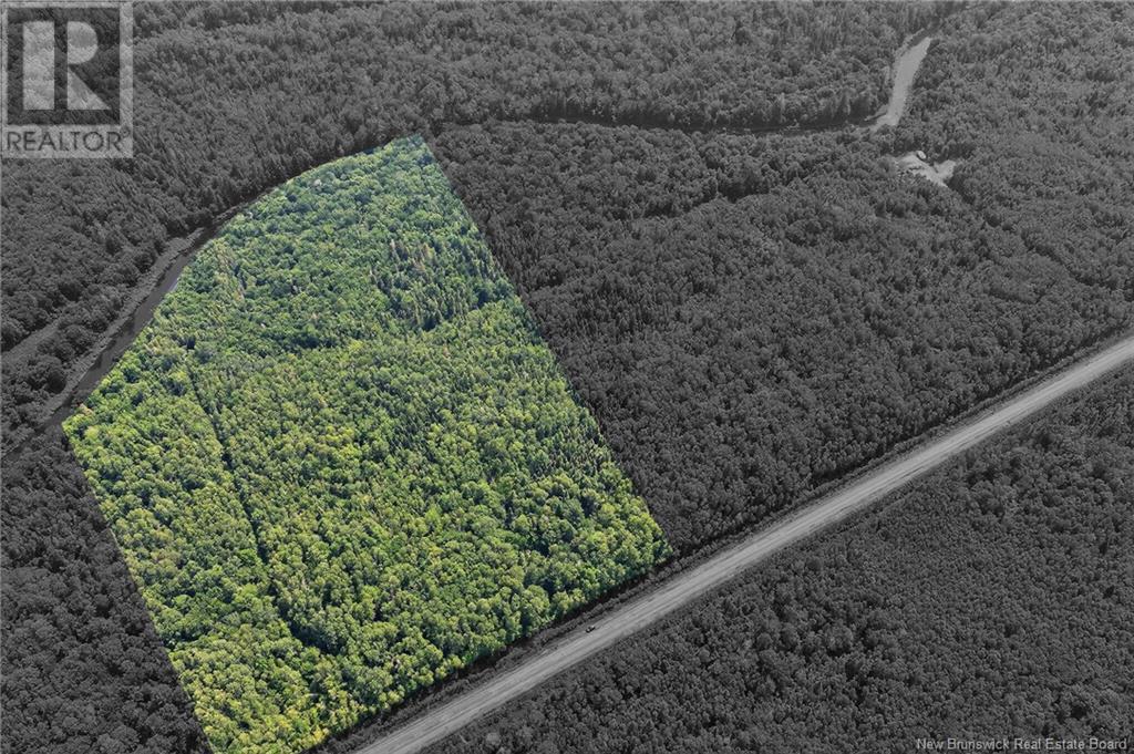 Photo 1 of Lot Salmon River Road, Harcourt NB