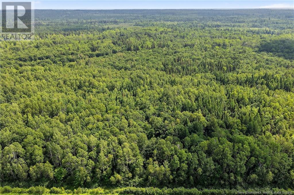 Photo 5 of Lot Salmon River Road, Harcourt NB