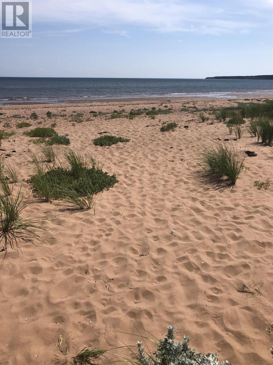 32 DRIFTWOOD - 37