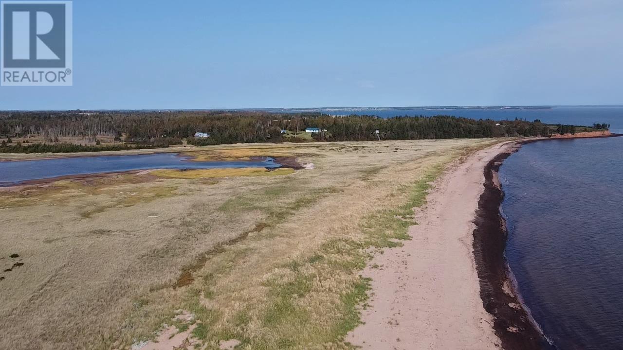 32 DRIFTWOOD - 40