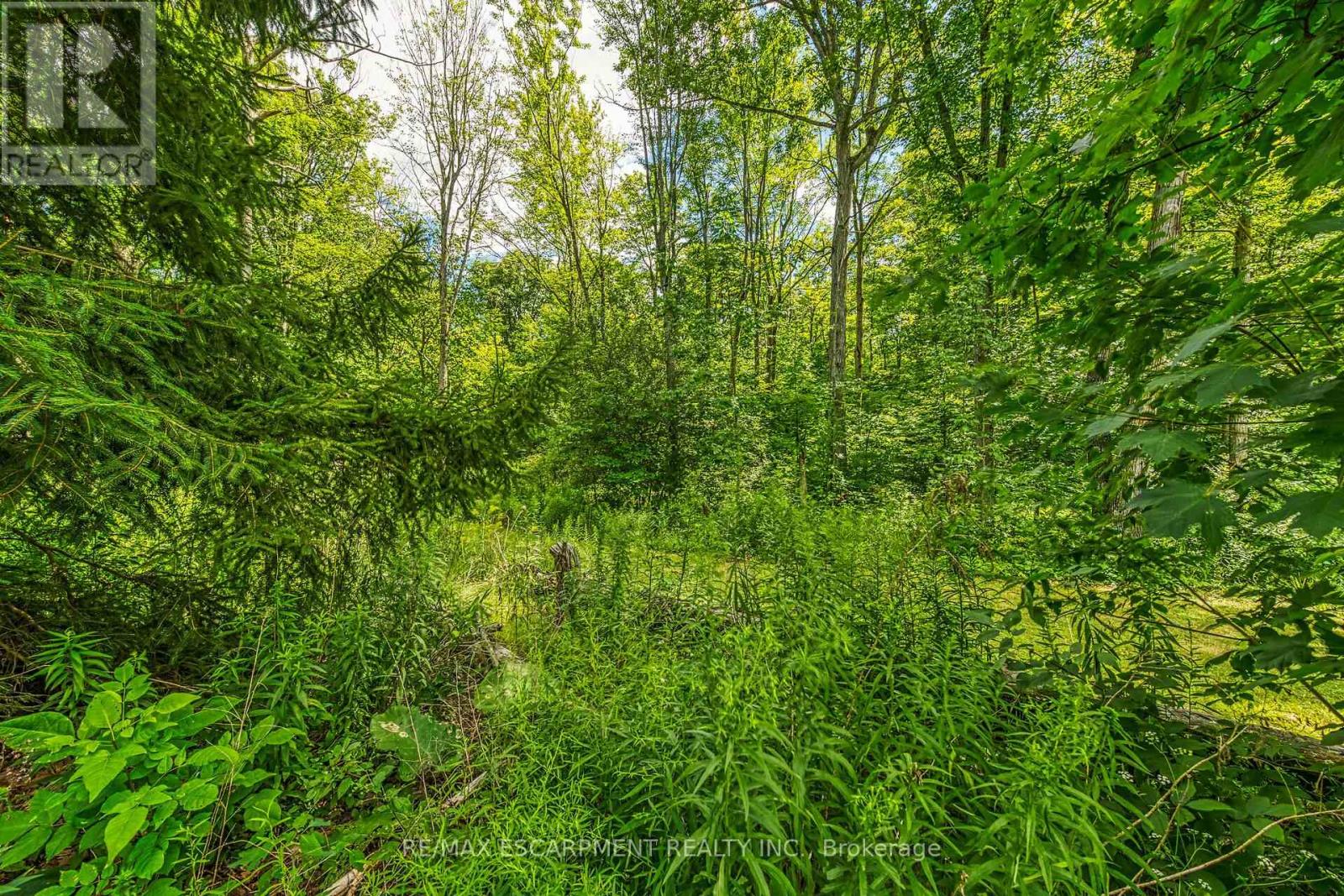 Photo 35 of 118 Concession 1 Road, Haldimand ON