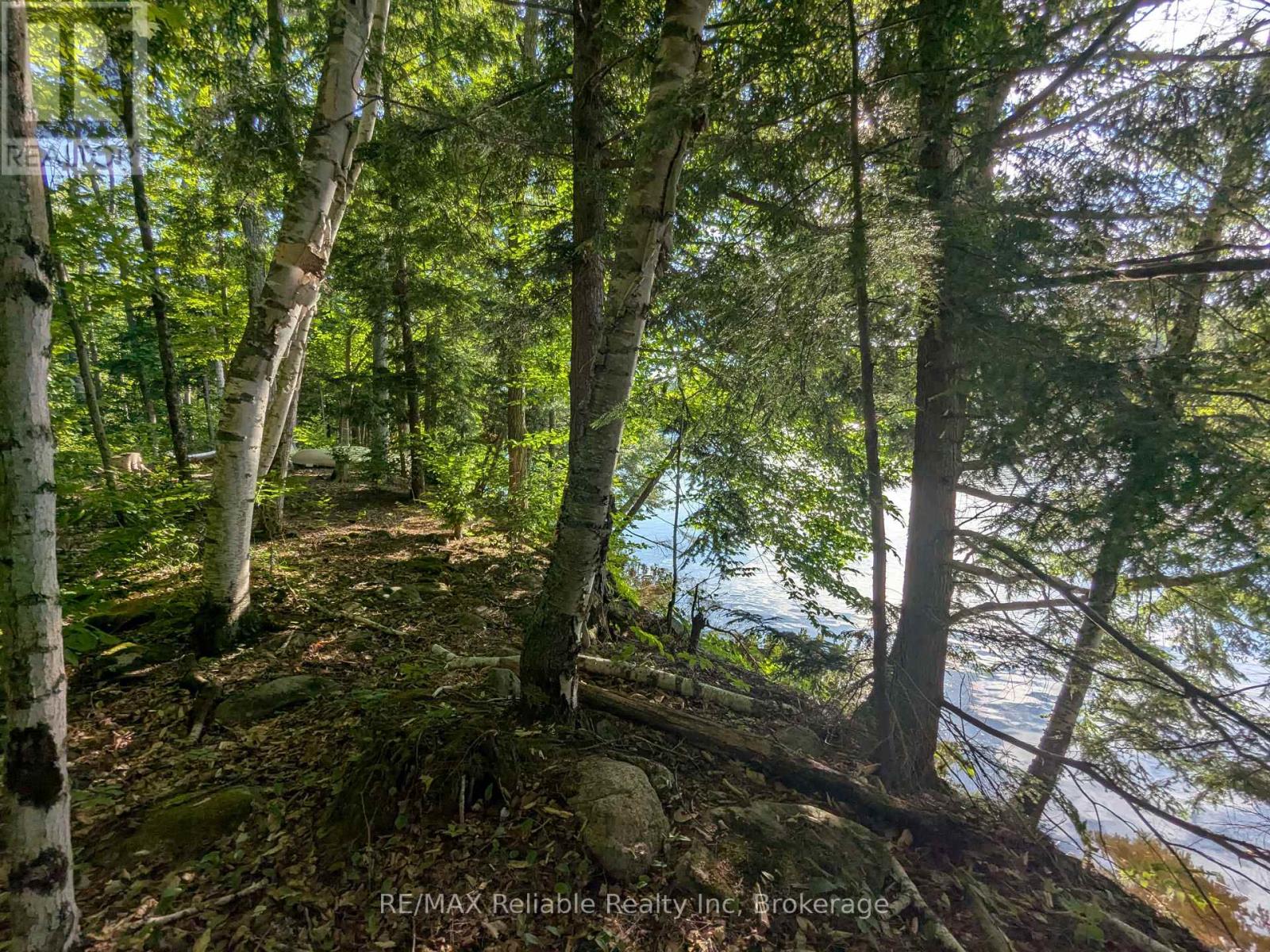 Photo 10 of 223 Shady Maple Road, Mcnab Braeside ON