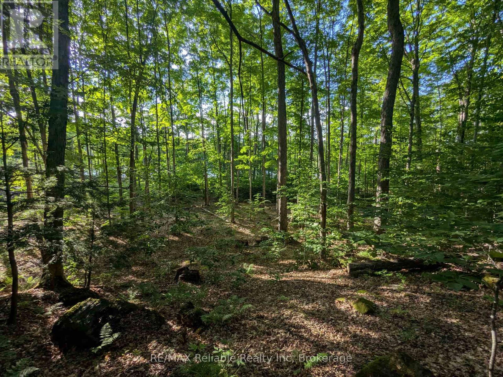 Photo 11 of 223 Shady Maple Road, Mcnab Braeside ON