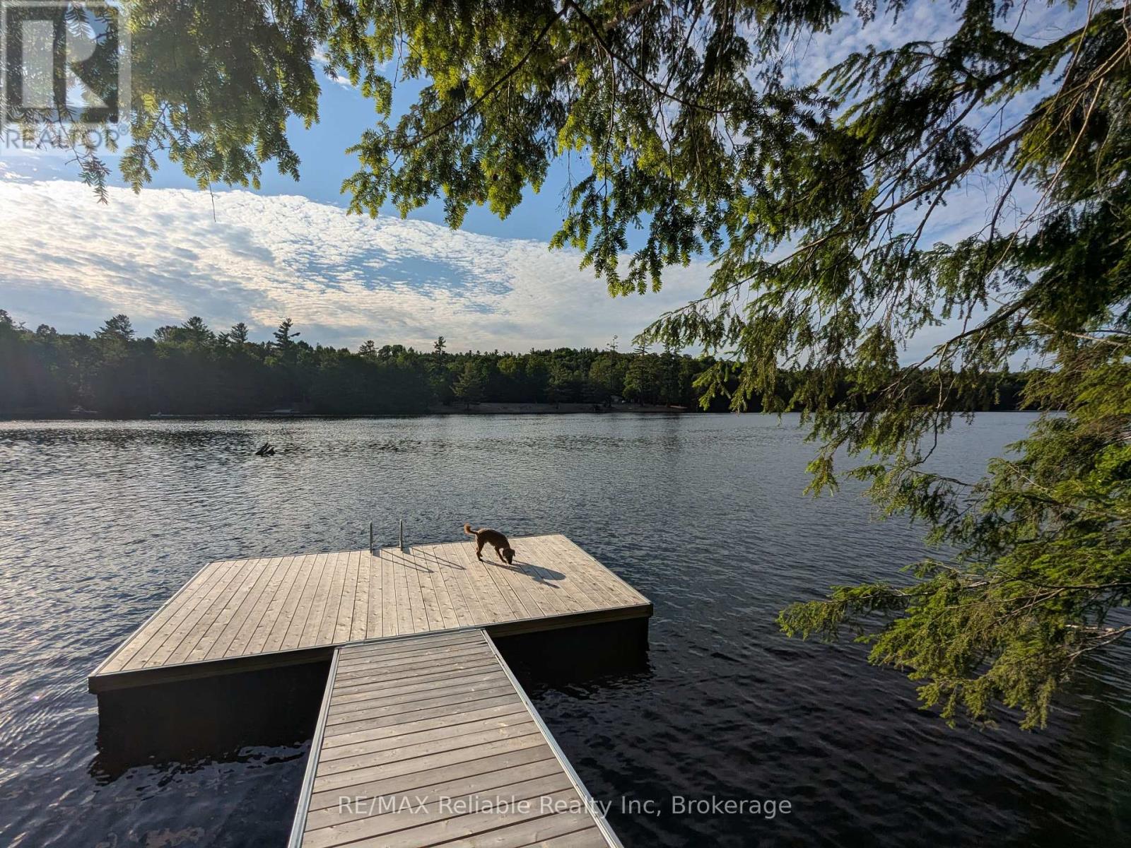 Photo 18 of 223 Shady Maple Road, Mcnab Braeside ON