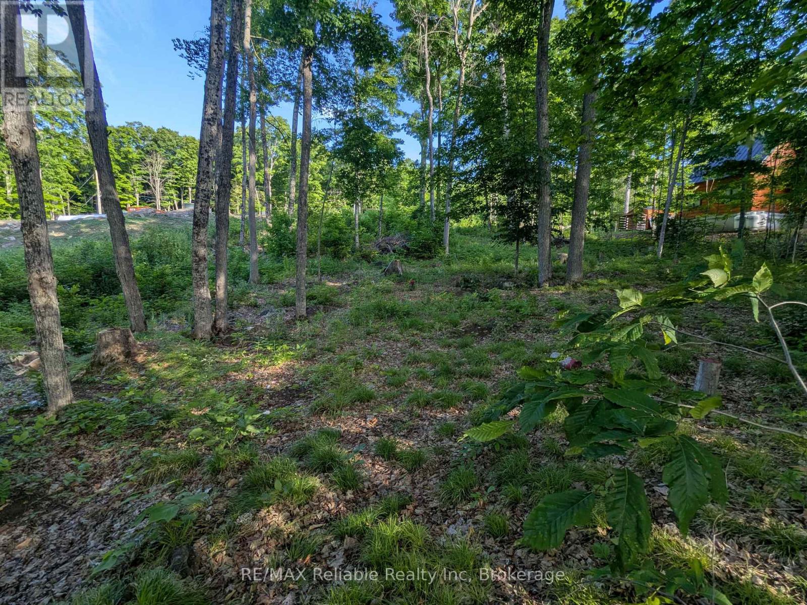 Photo 9 of 223 Shady Maple Road, Mcnab Braeside ON
