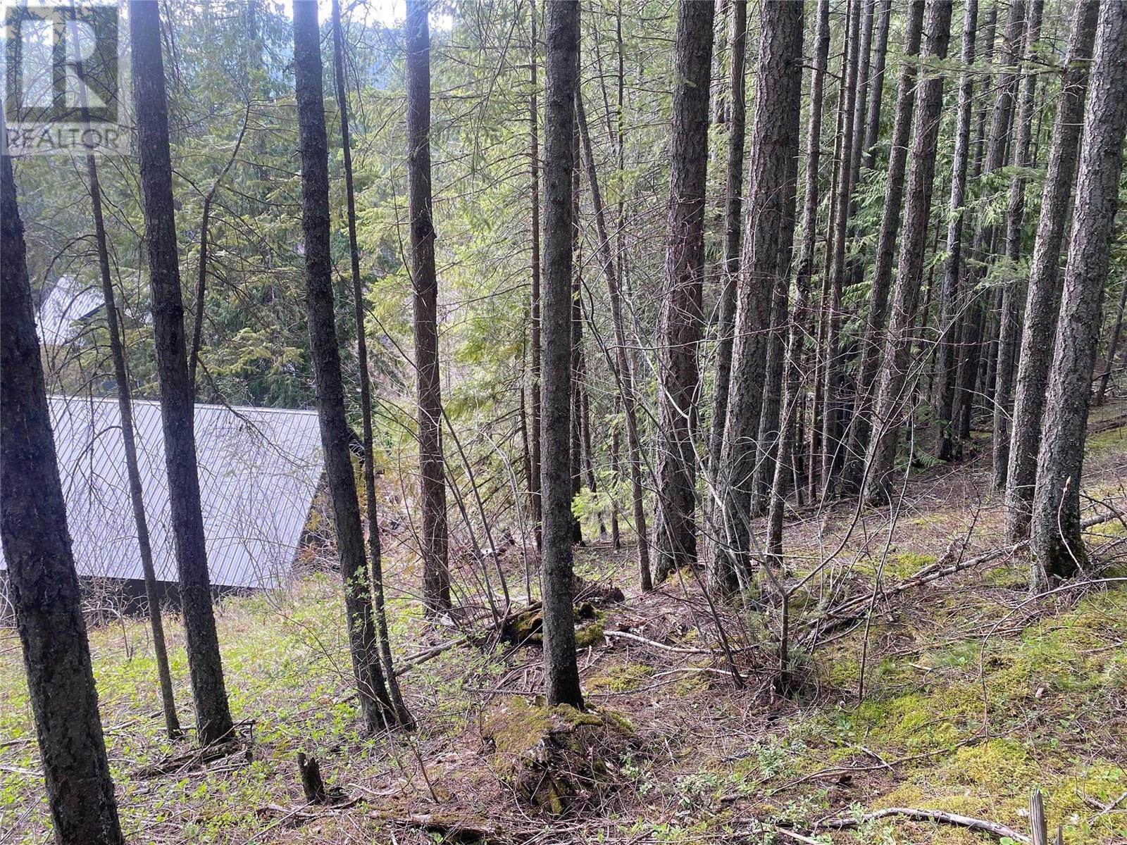 7463 Black Road SE, Salmon Arm