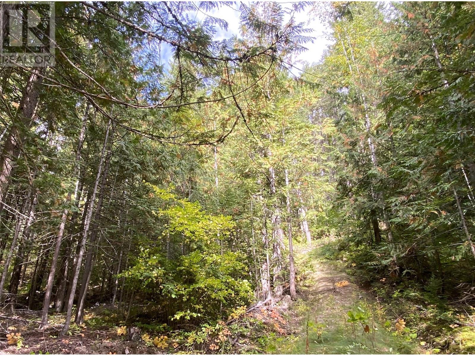 7463 Black Road SE, Salmon Arm