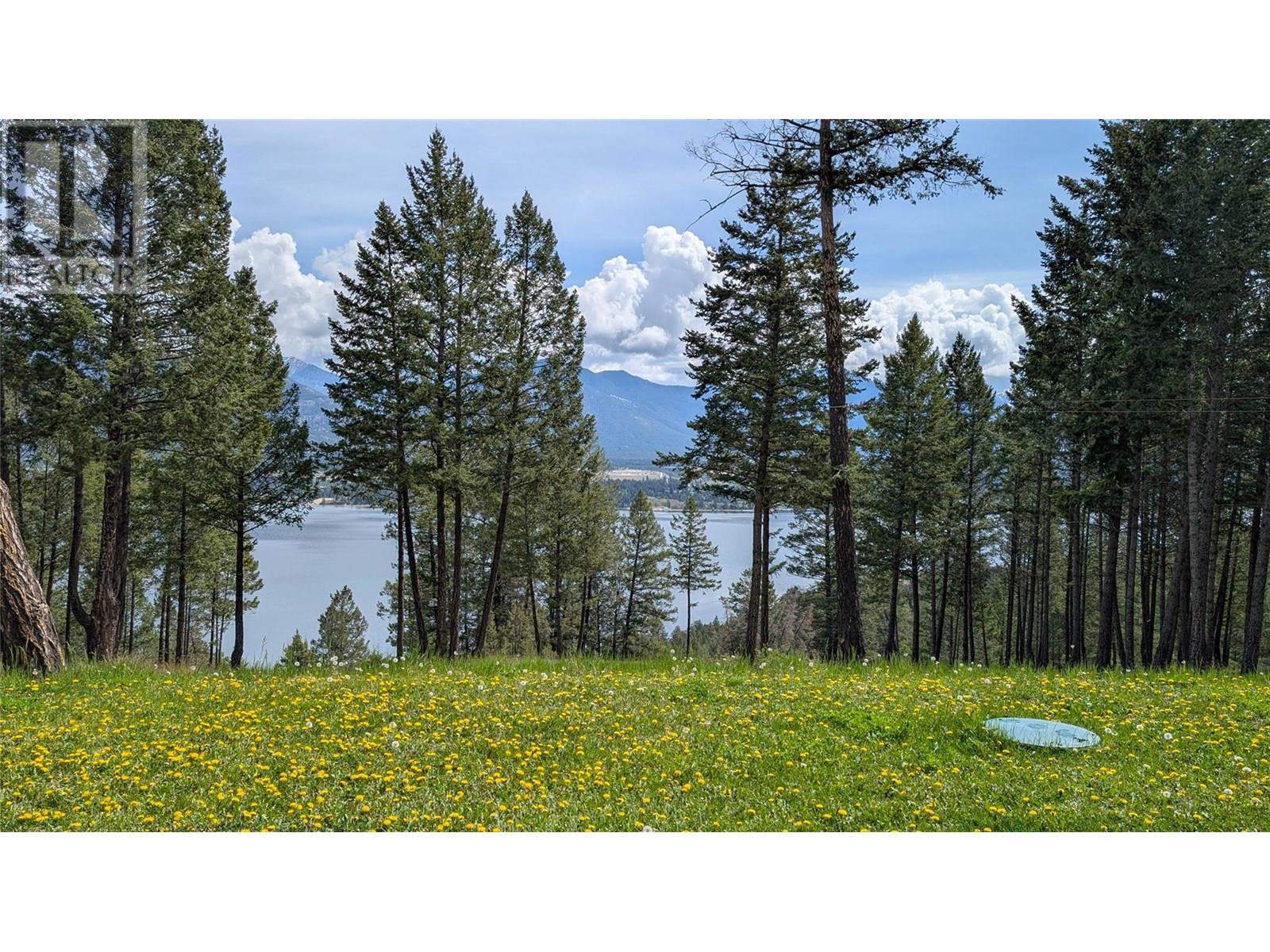 Photo 4 of 4197 Coy Road, Invermere BC
