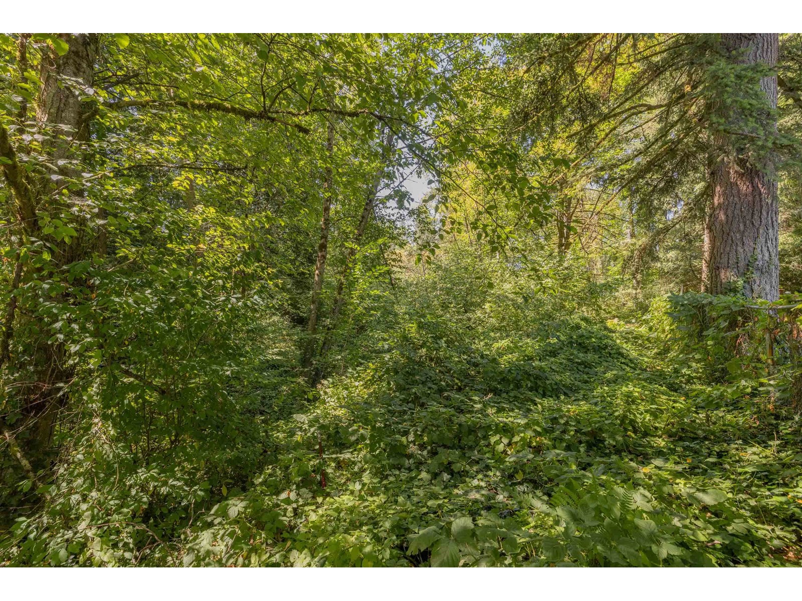 Photo 27 of 20886 94 B Avenue, Langley BC