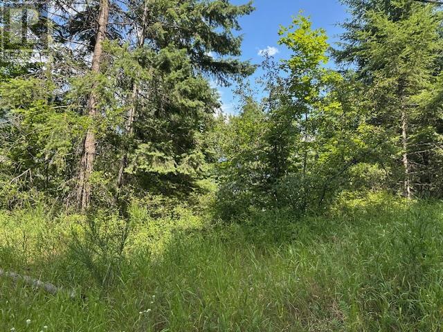 Photo 15 of Lot B Government Street, Nelson BC