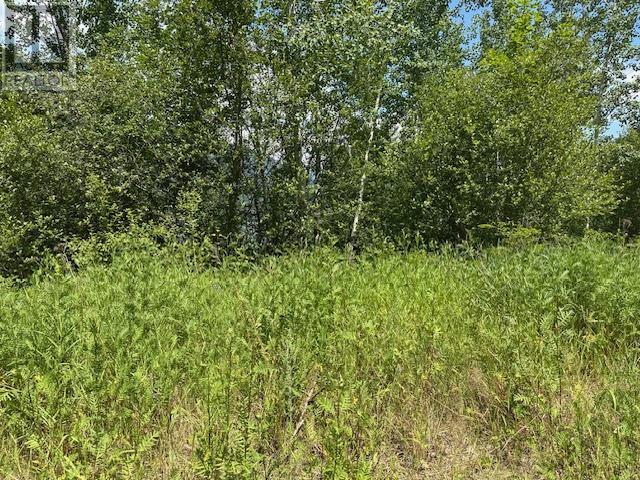Photo 16 of Lot B Government Street, Nelson BC