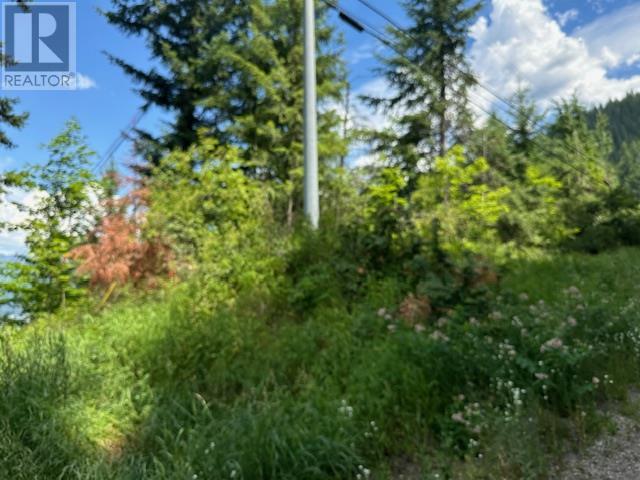 Photo 14 of Lot B Government Street, Nelson BC