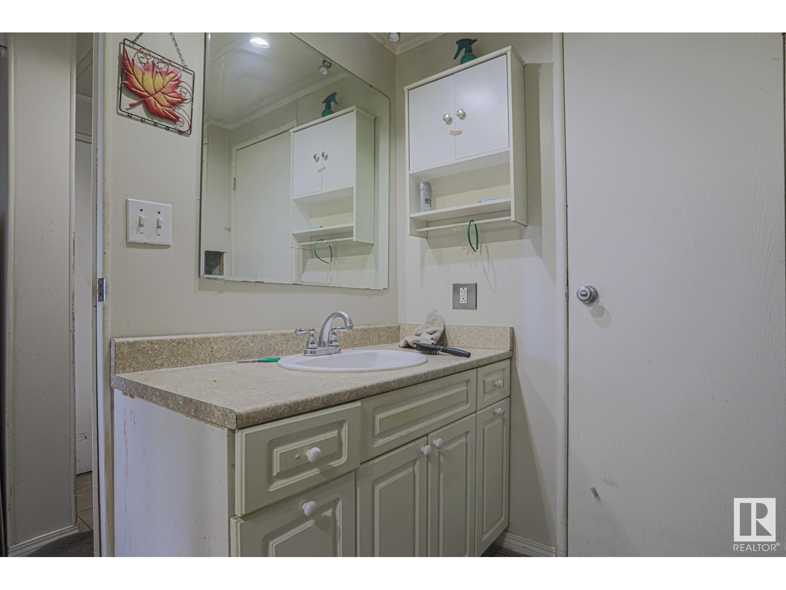 Photo 16 of 19 Ridgeway Dr Nw, Edmonton AB