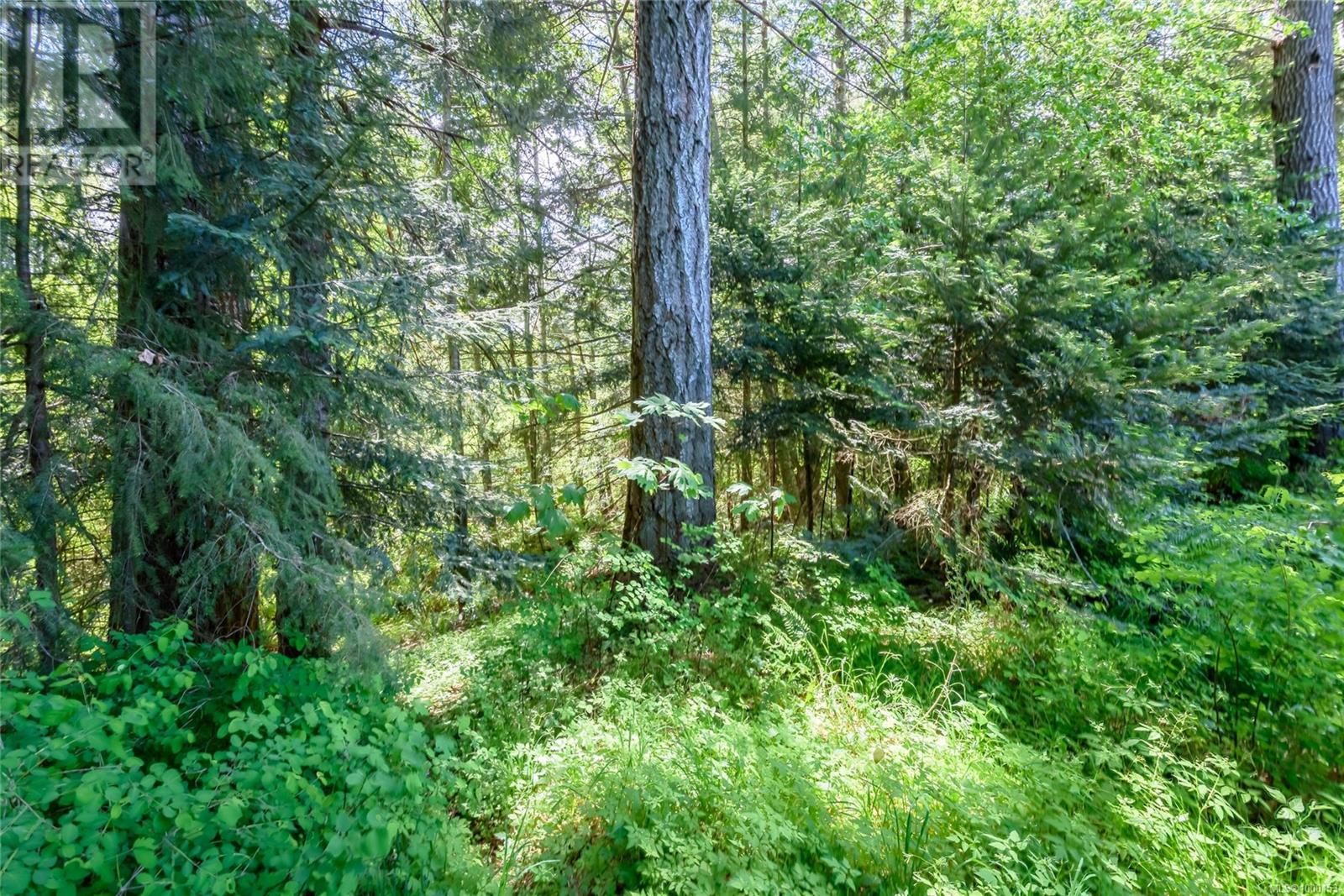 Photo 3 of 7478 Yake Rd, Fanny Bay BC