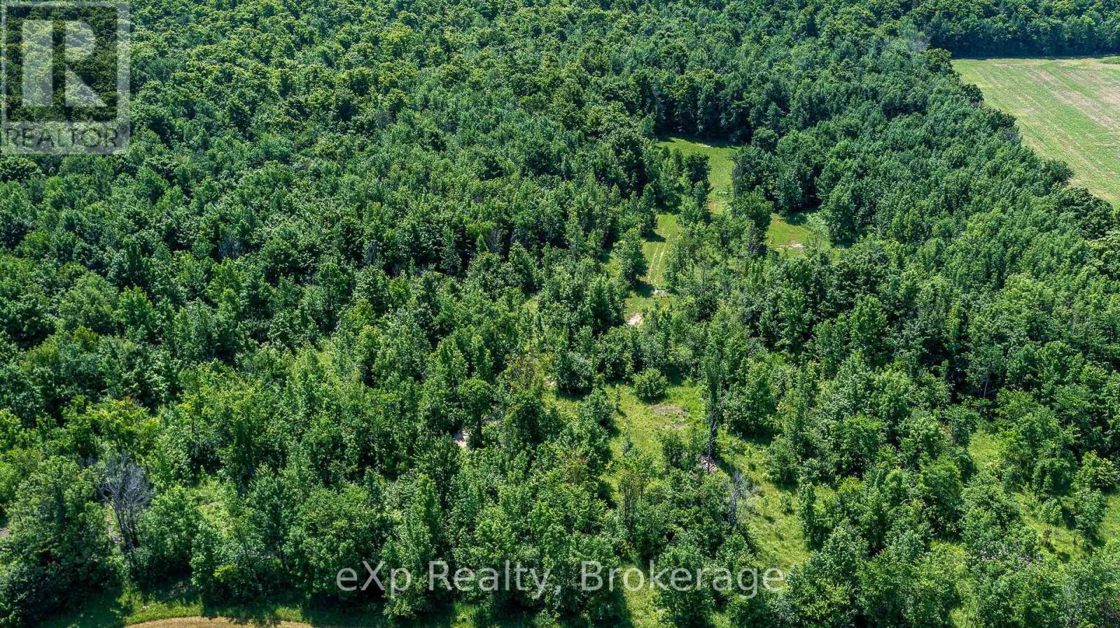 Photo 7 of 463086 Concession 24, Georgian Bluffs ON