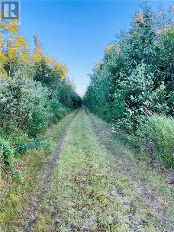 Photo 4 of Point Aux Carr Road, Napan NB