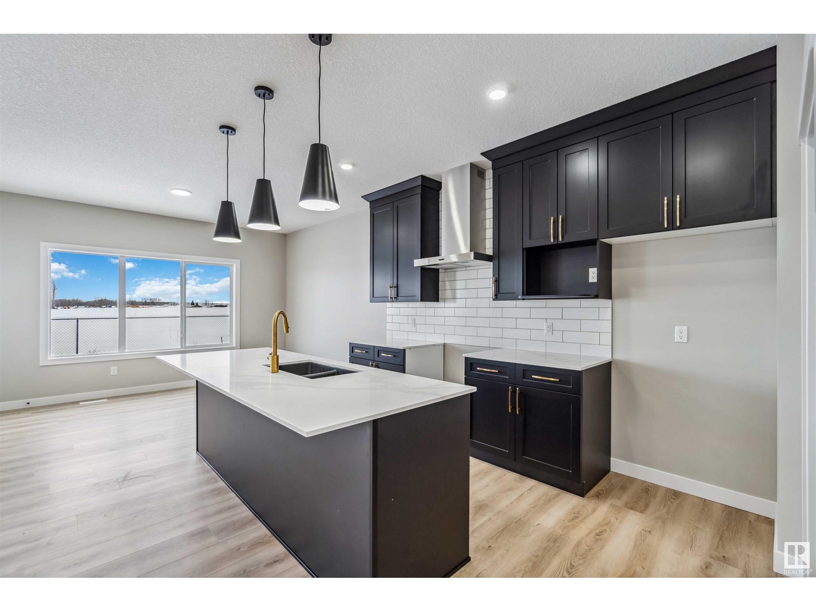 Photo 23 of 1659 12 St Nw, Edmonton AB