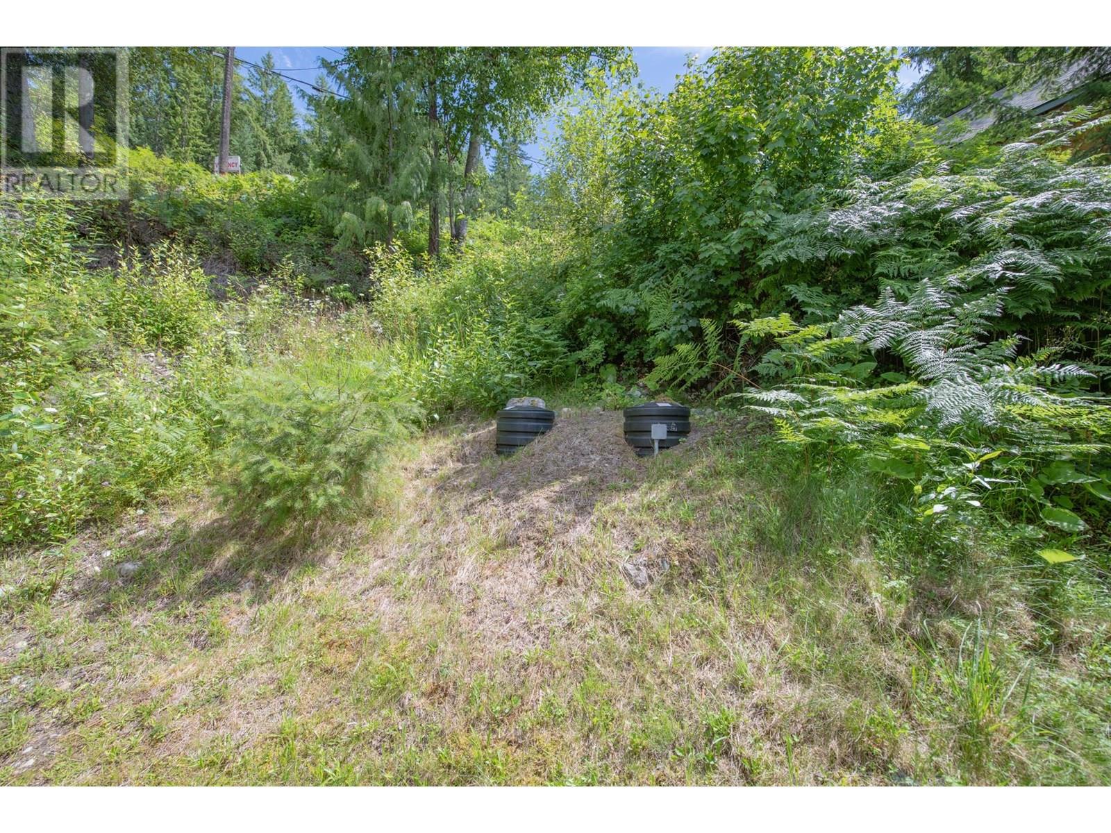 1710 6 Highway, Nakusp