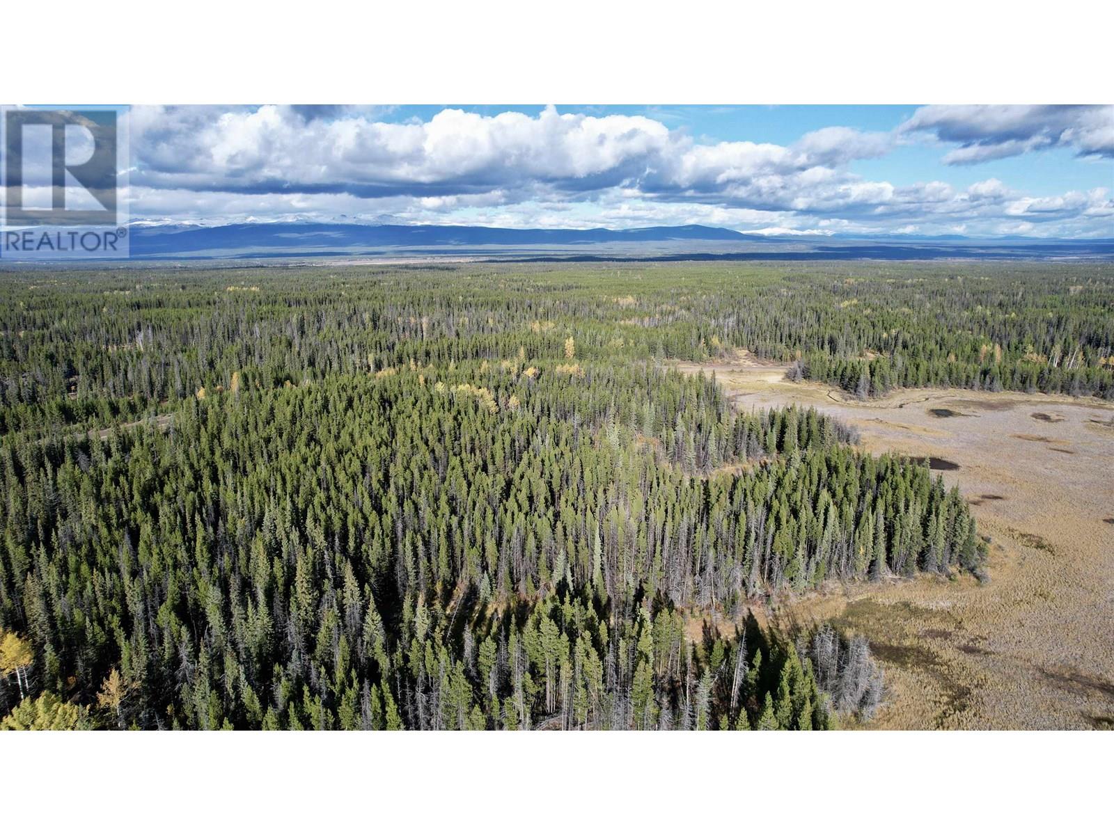 Vacant Land in Williams Lake - Image 10