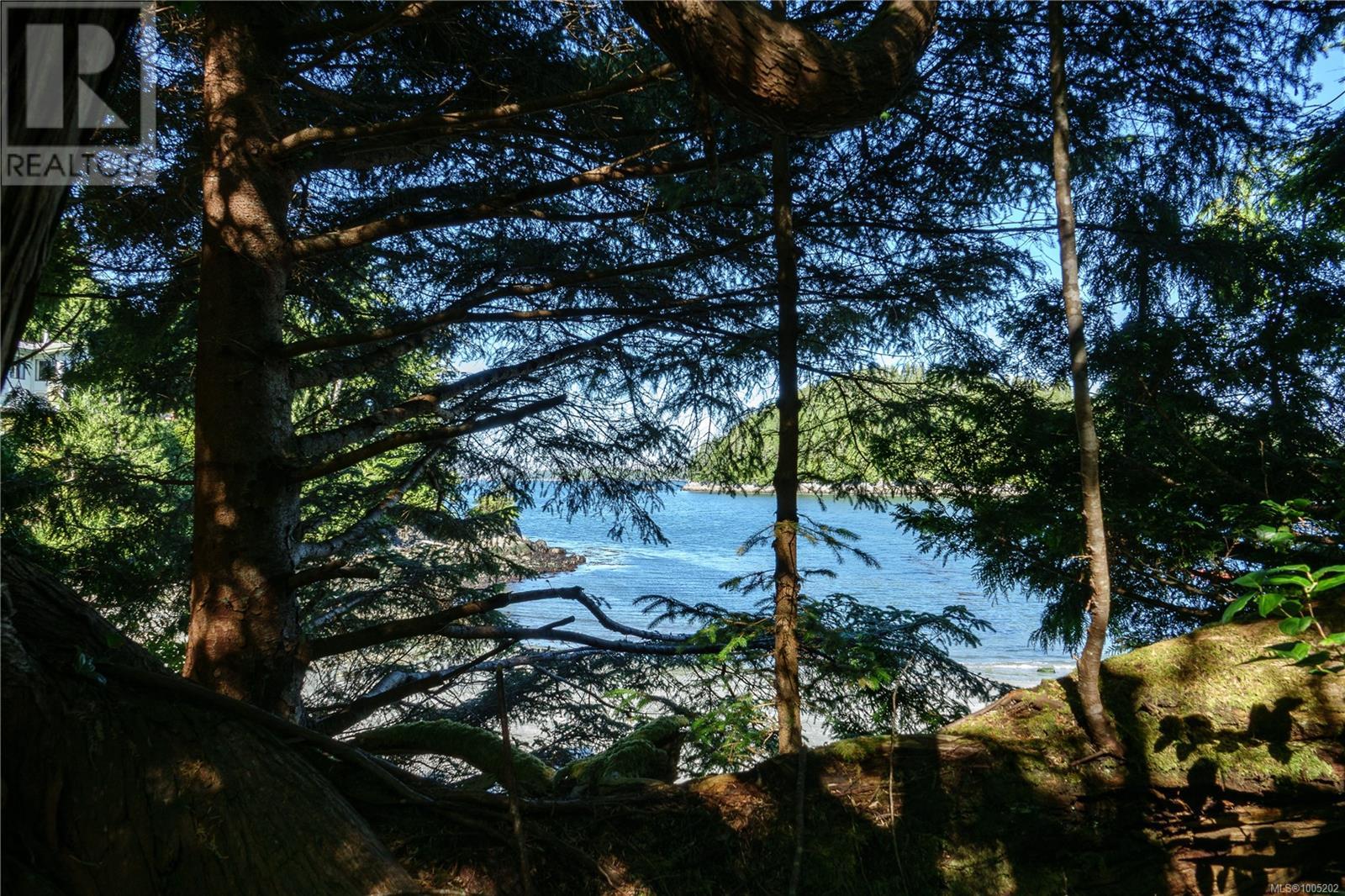 261 Cedar St, Tofino