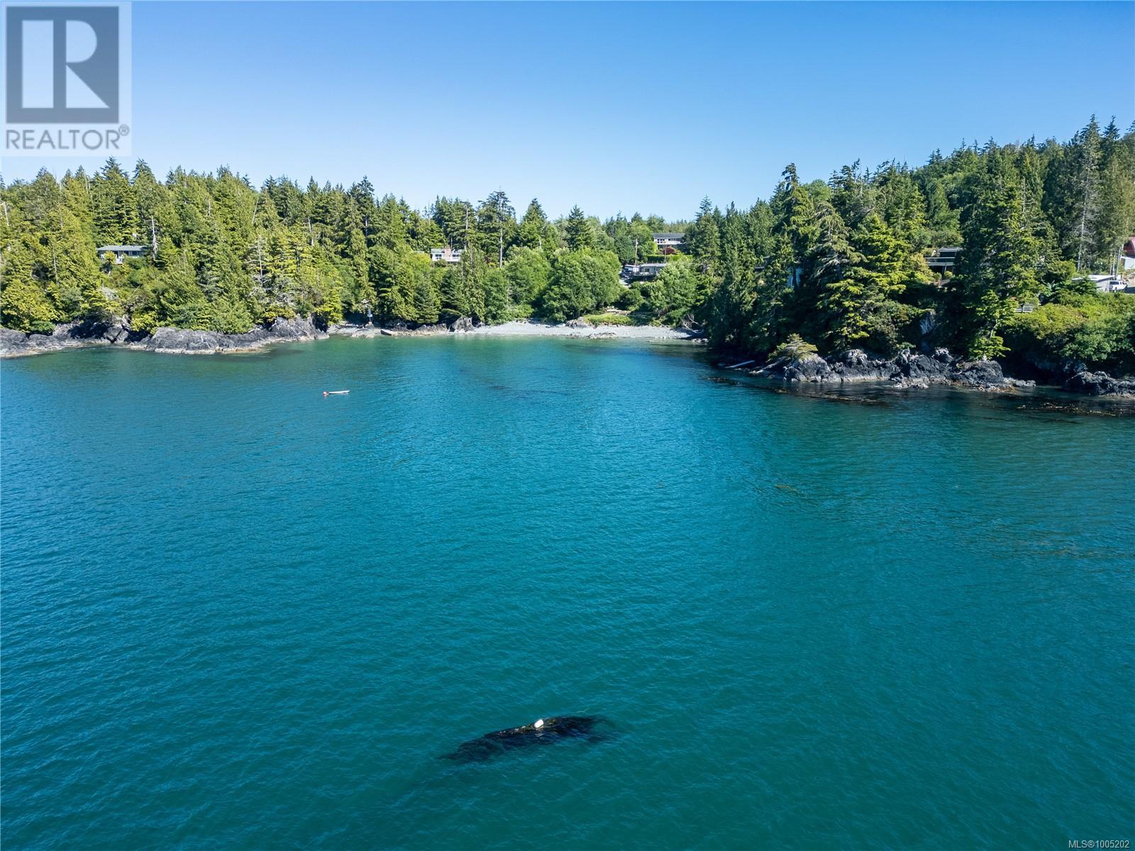 261 Cedar St, Tofino