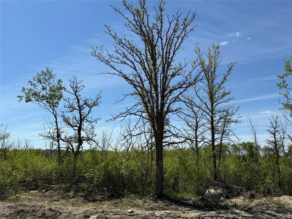 Photo 1 of 0 Bluegrass Way, St Malo MB