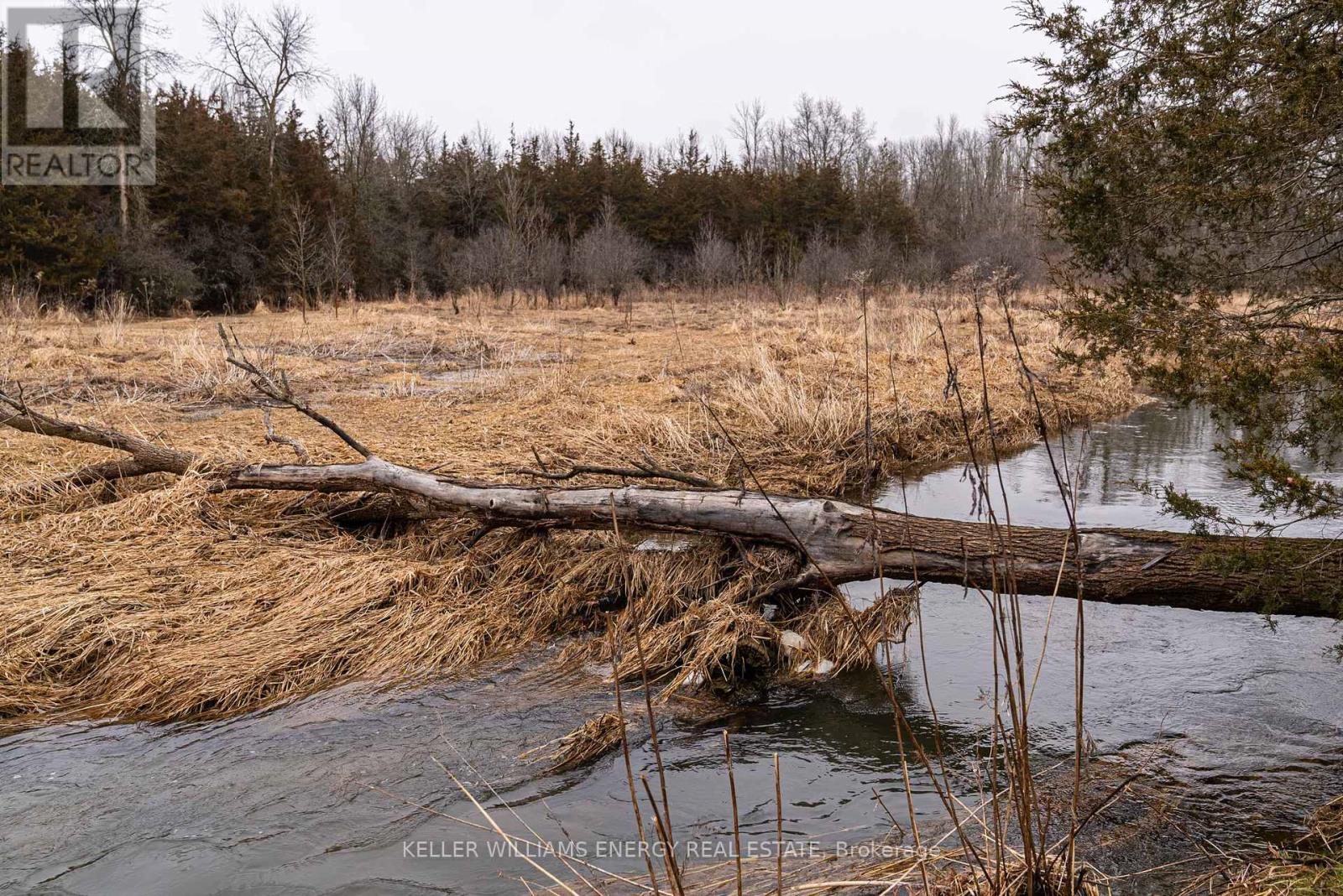 Photo 39 of 7685 County 2 Road, Greater Napanee ON
