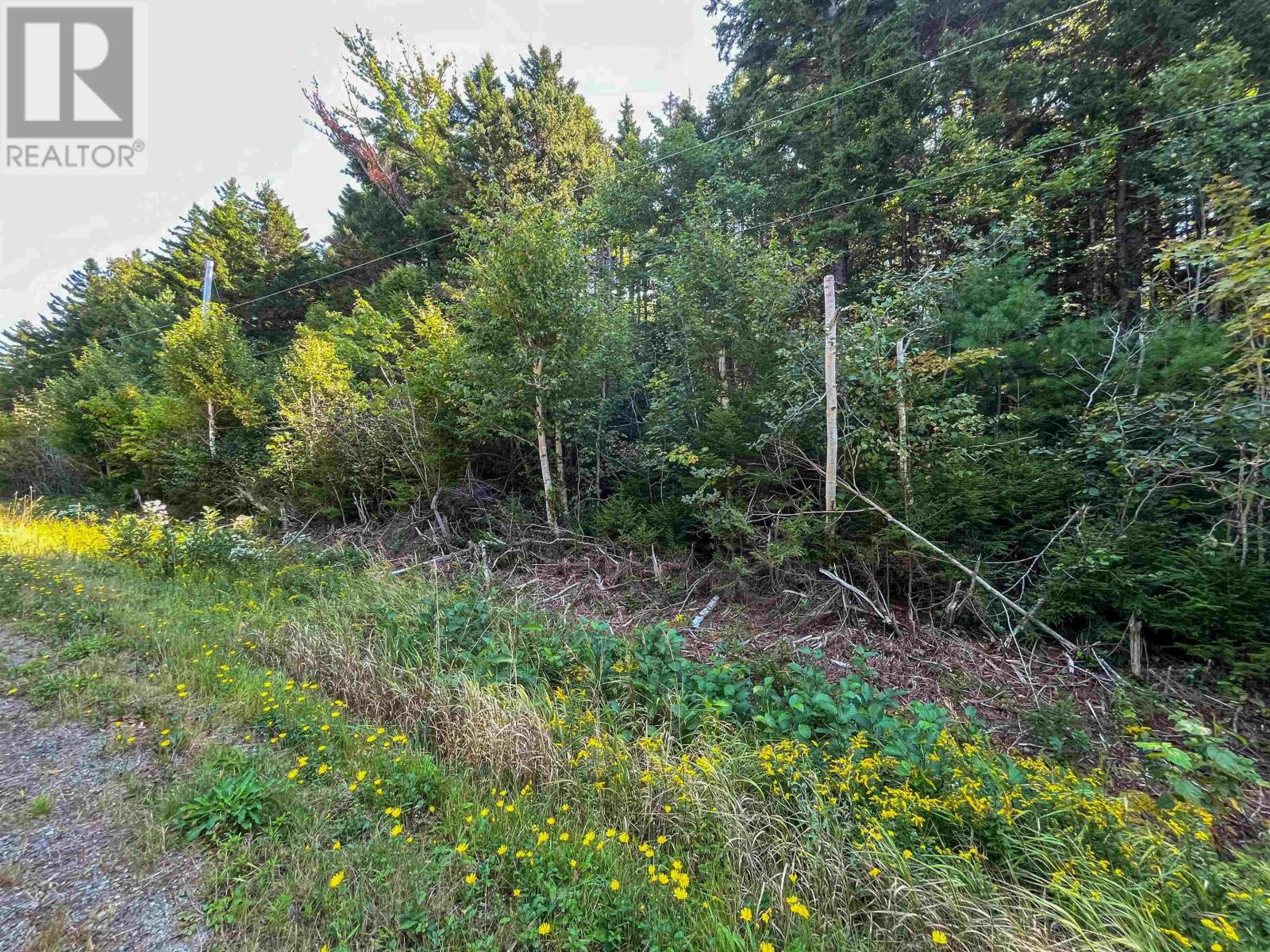 Property 6 of 9 of Lots Thibault Road