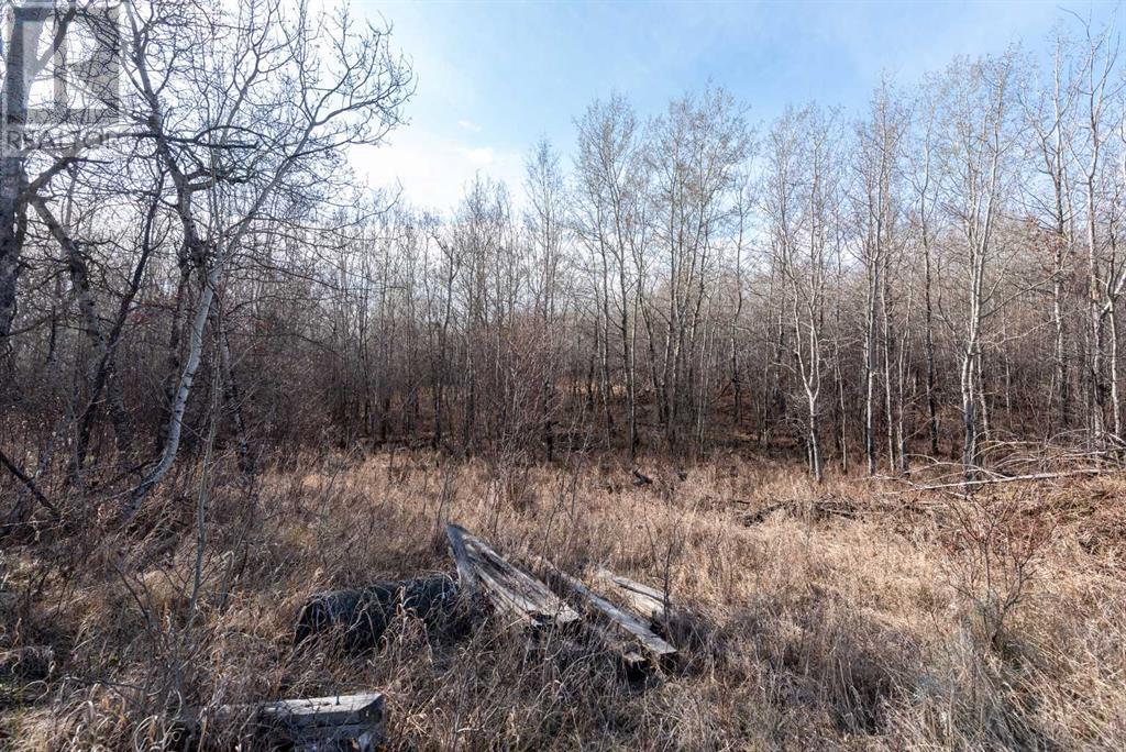 Photo 11 of 50251 Rge Rd 25, Rural Vermilion River County Of AB
