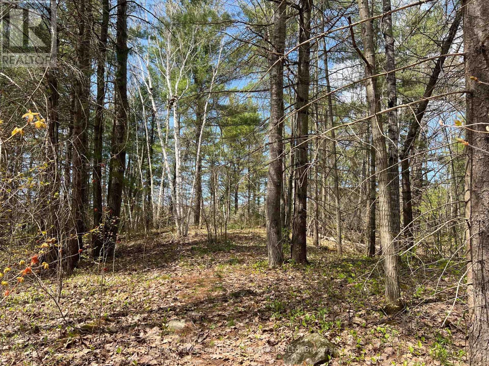 Photo 23 of Part Lot 31 Rose Point Trail, Seguin ON
