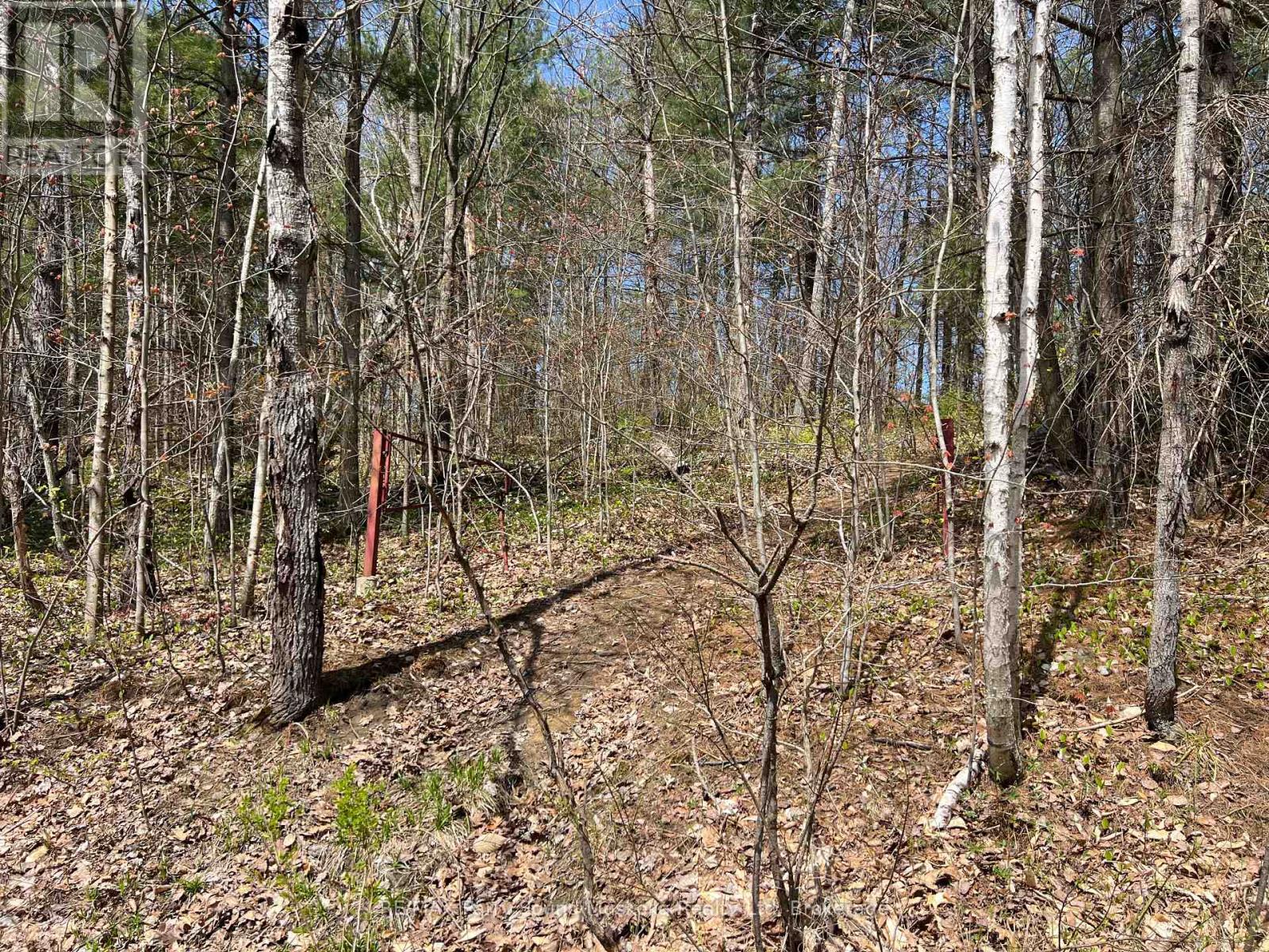 Photo 20 of Part Lot 31 Rose Point Trail, Seguin ON