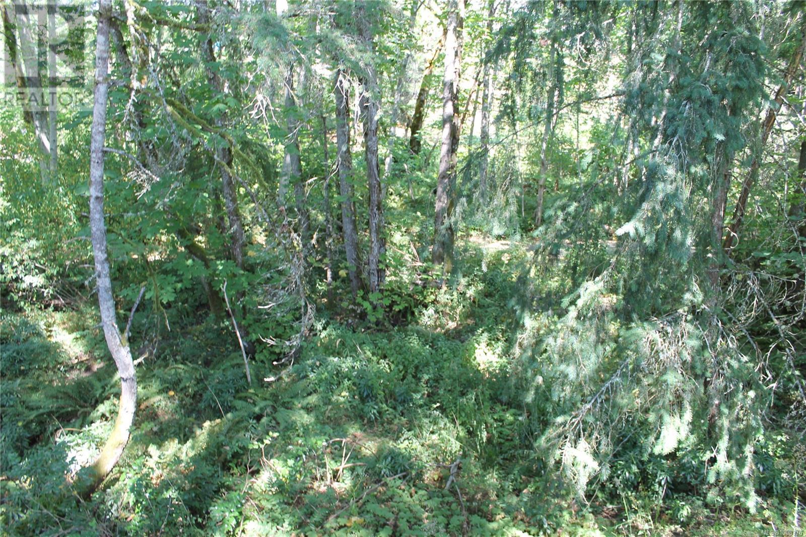 Photo 36 of 1227 Margaret Pl, Duncan BC