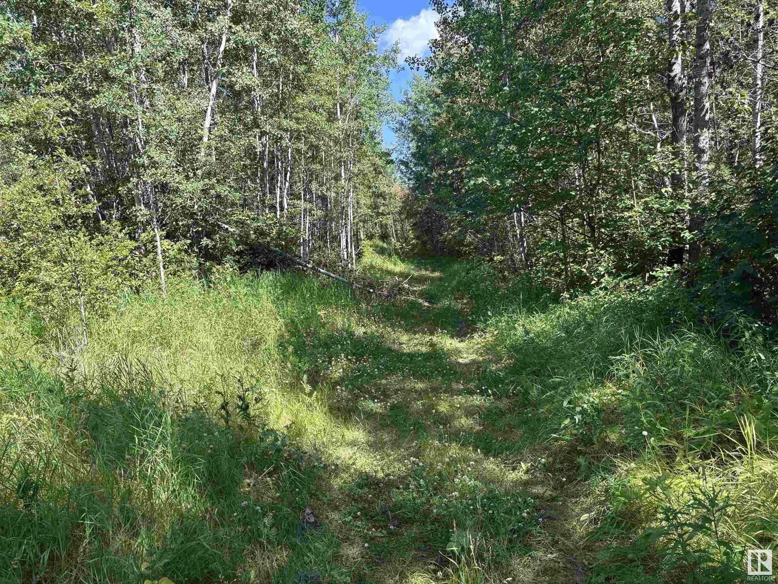 Photo 61 of 5220 Twp Road 534, Rural Parkland County AB