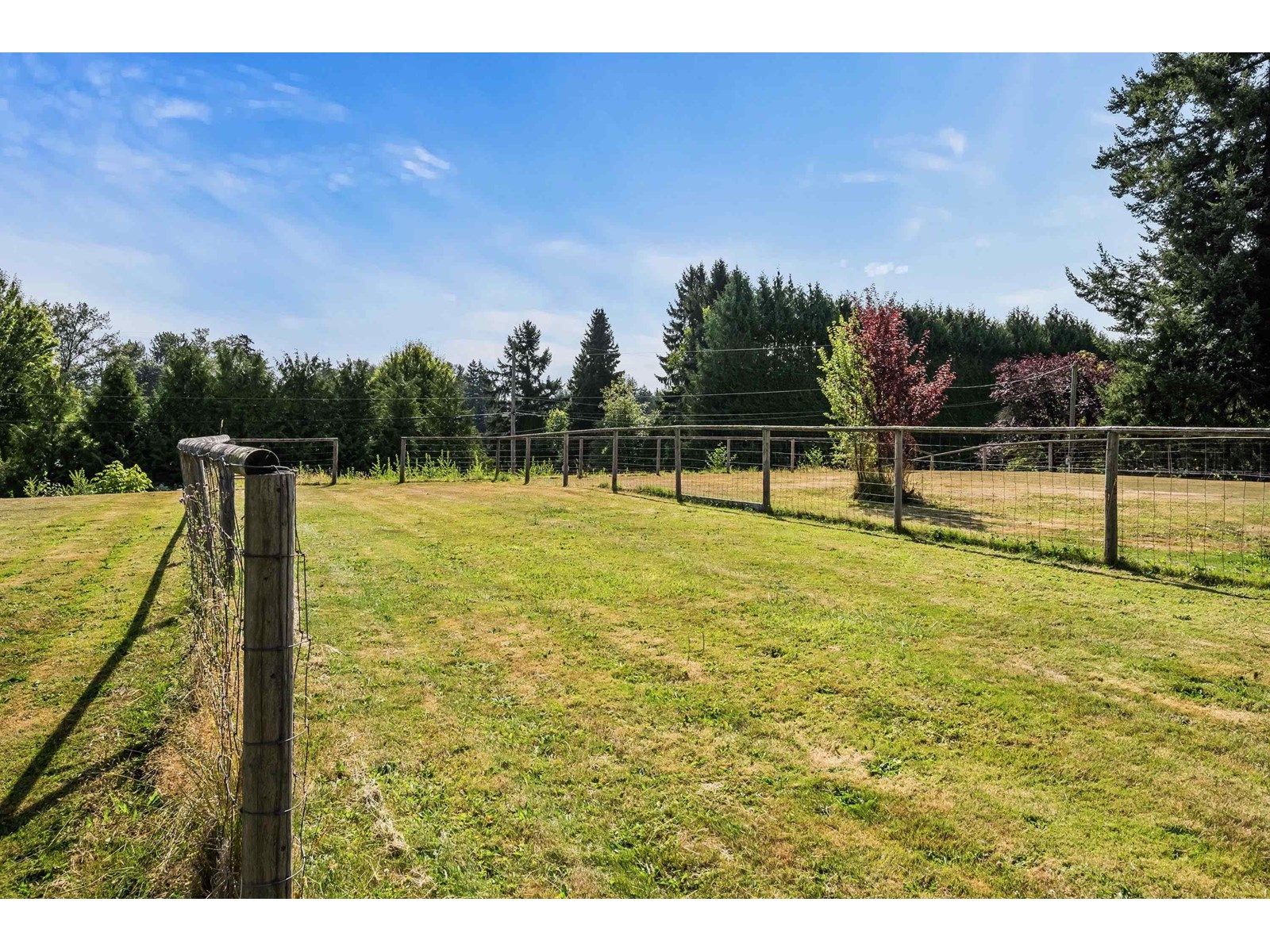 Photo 38 of 1405 227 Street, Langley BC