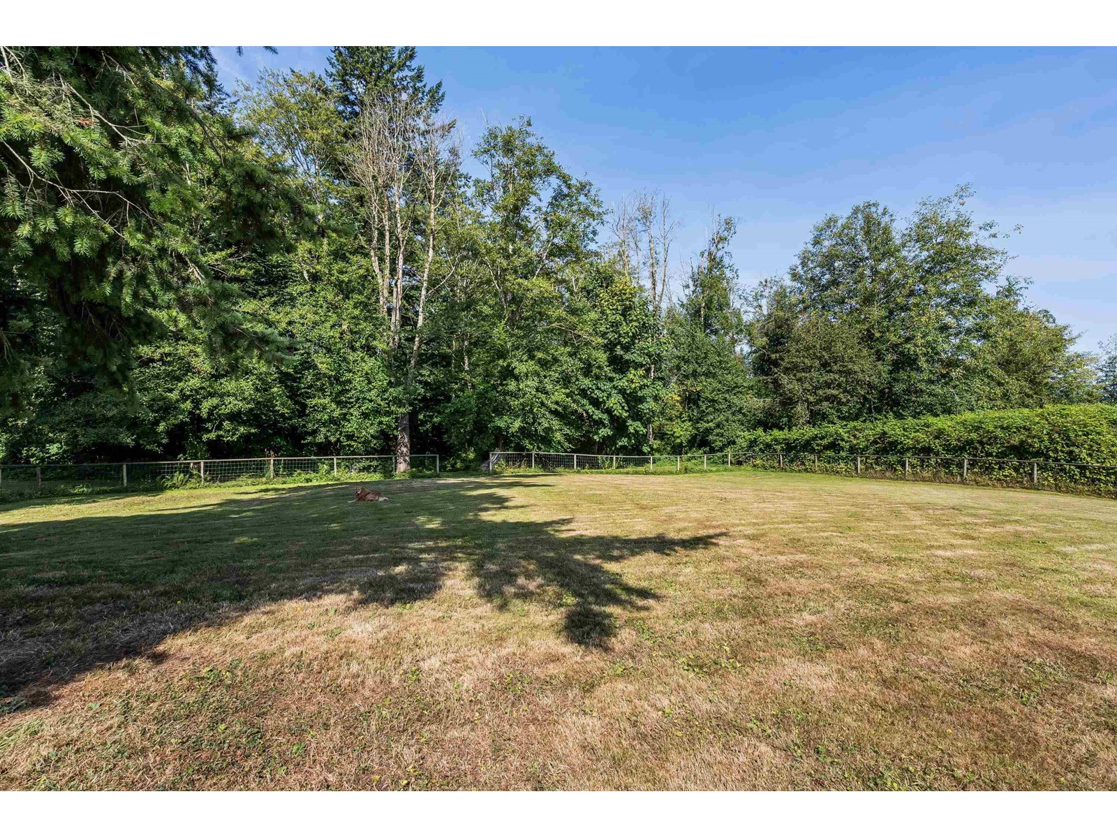 Photo 35 of 1405 227 Street, Langley BC