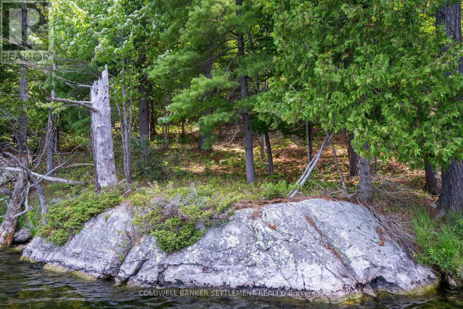 Photo 9 of 00 Otty Lake S W Shore Road, Tay Valley ON