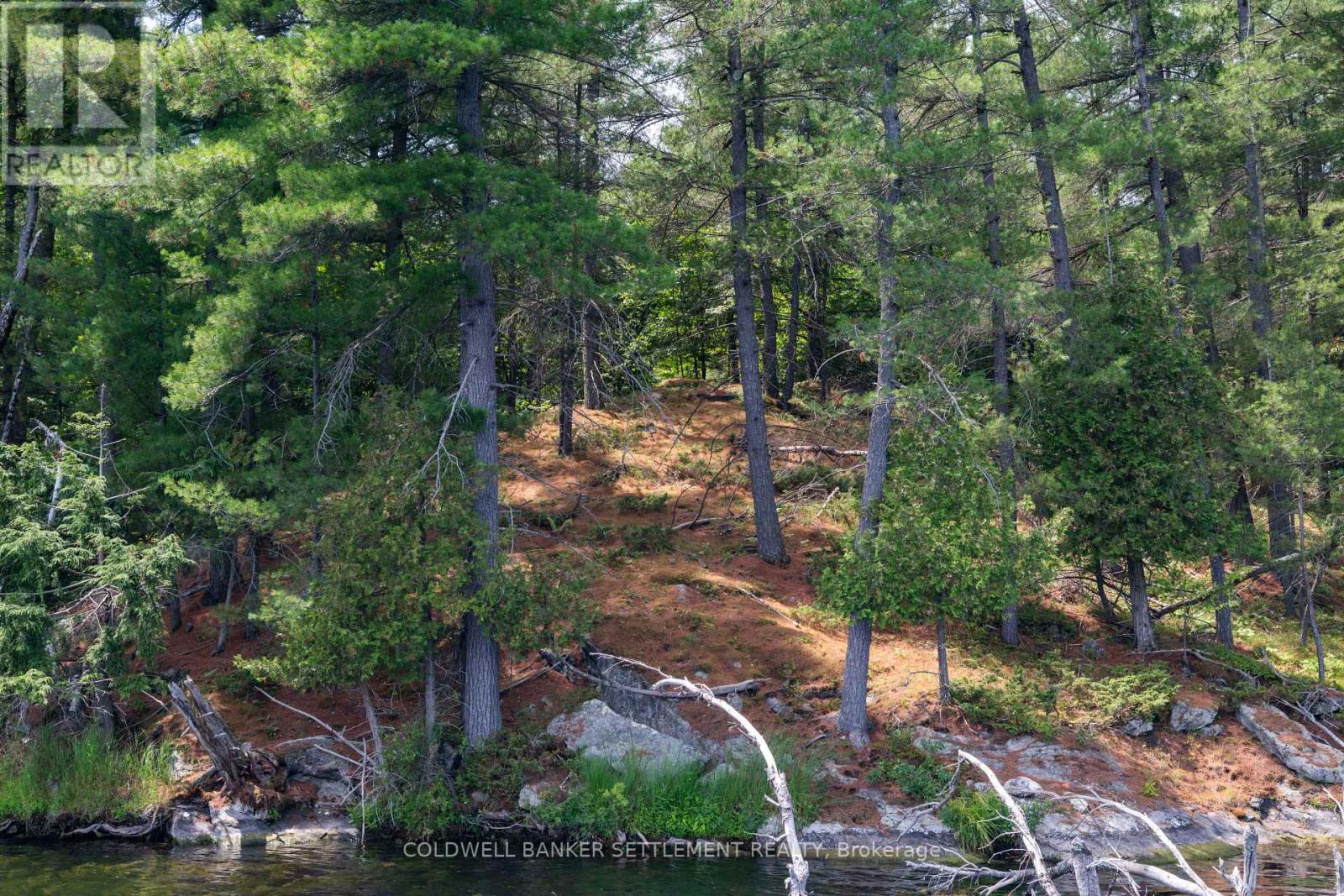 Photo 20 of 00 Otty Lake S W Shore Road, Tay Valley ON