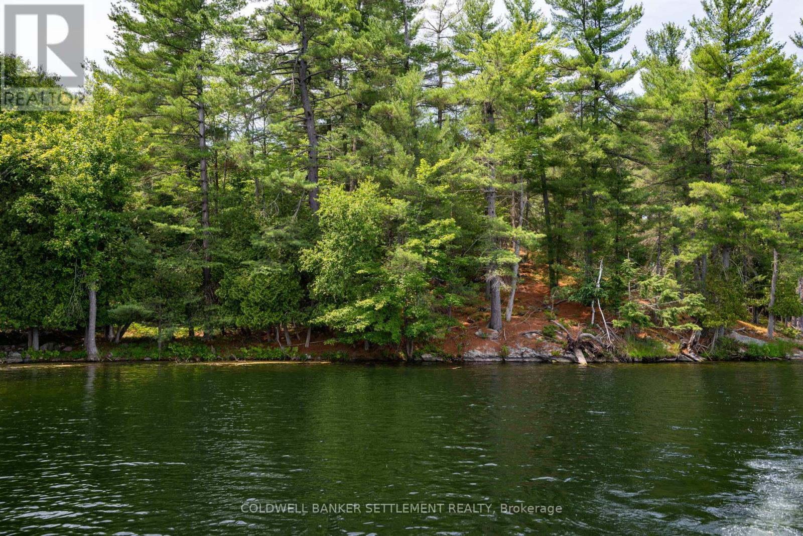 Photo 11 of 00 Otty Lake S W Shore Road, Tay Valley ON