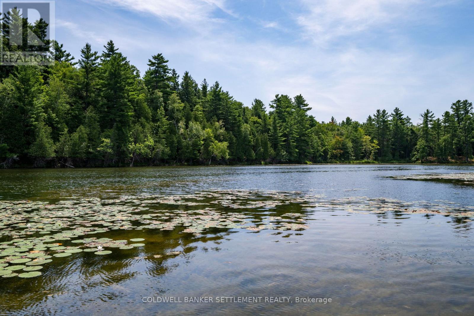 Photo 8 of 00 Otty Lake S W Shore Road, Tay Valley ON
