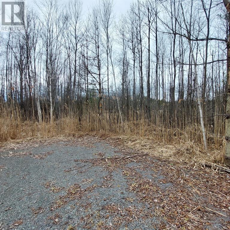 Photo 10 of 106 Perth Street, Rideau Lakes ON