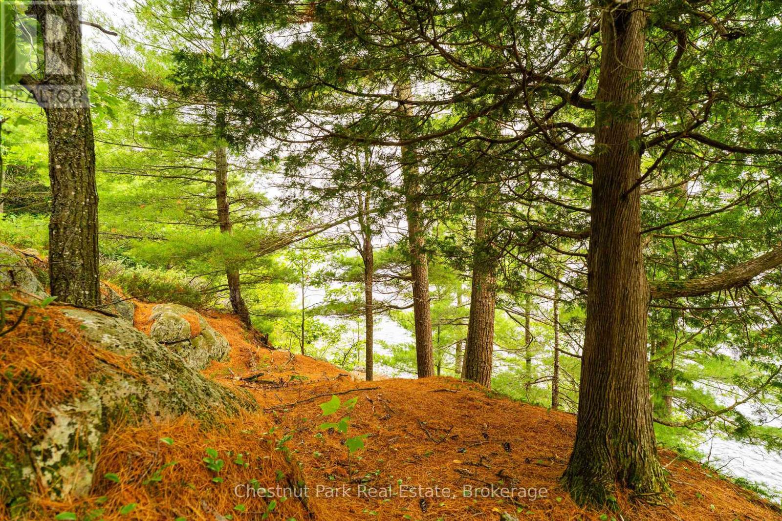 Photo 8 of 920 Big Island, Huntsville ON