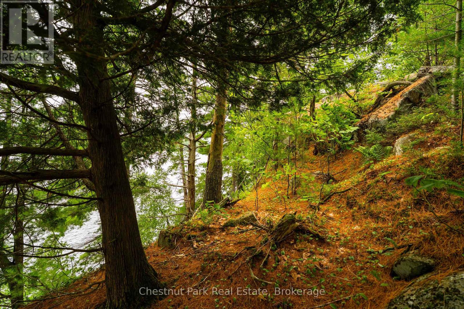 Photo 17 of 920 Big Island, Huntsville ON