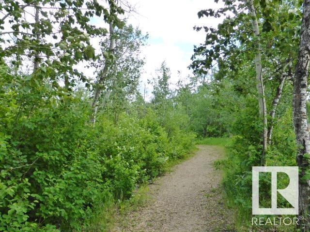 Photo 59 of 975 Hollingsworth Bn Nw, Edmonton AB