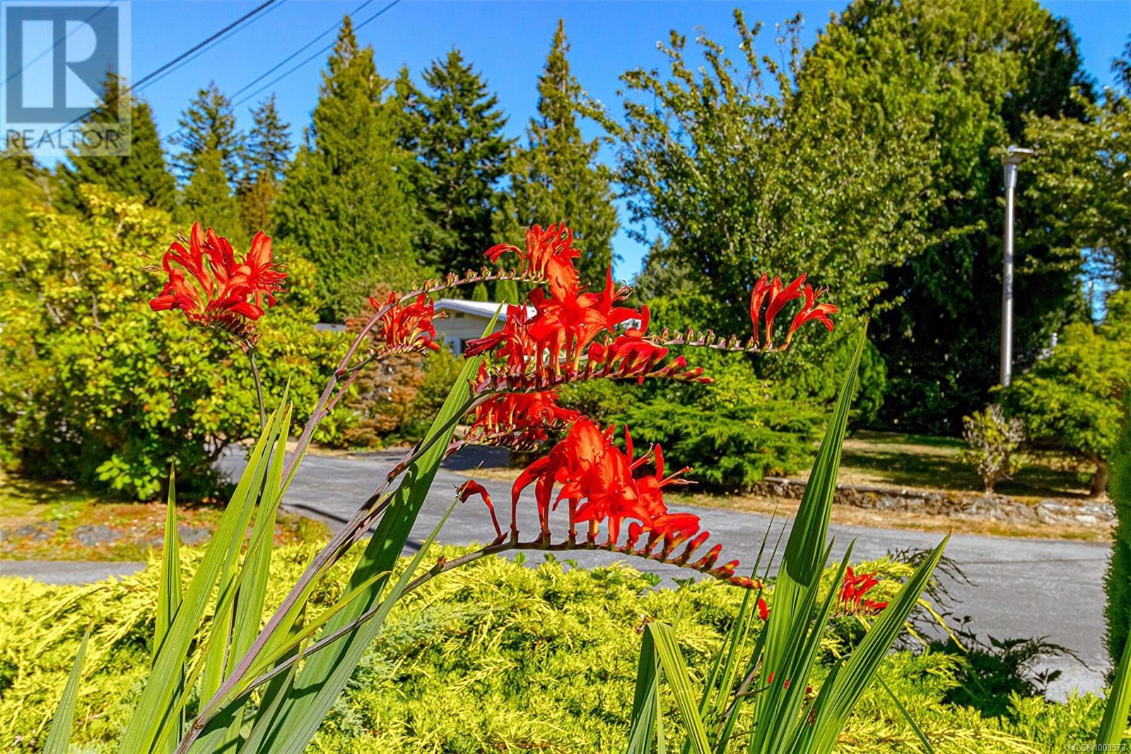 Photo 19 of 24 2357 Sooke River Rd, Sooke BC
